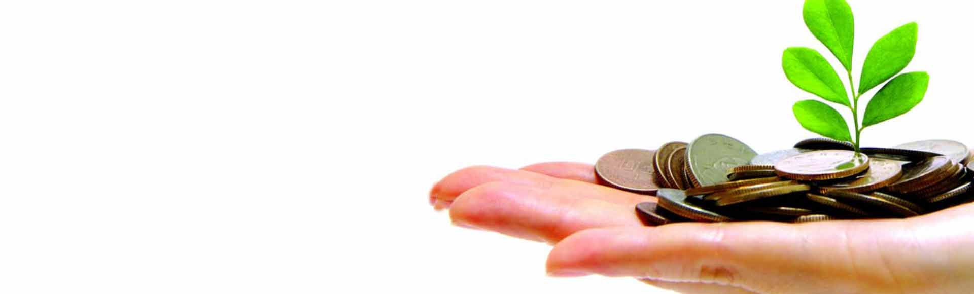 SHREE MARIKAMBA MICRO FINANCE PVT LTD