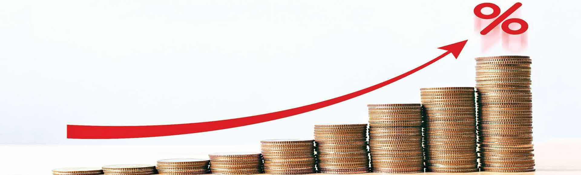 SHREE MARIKAMBA MICRO FINANCE PVT LTD